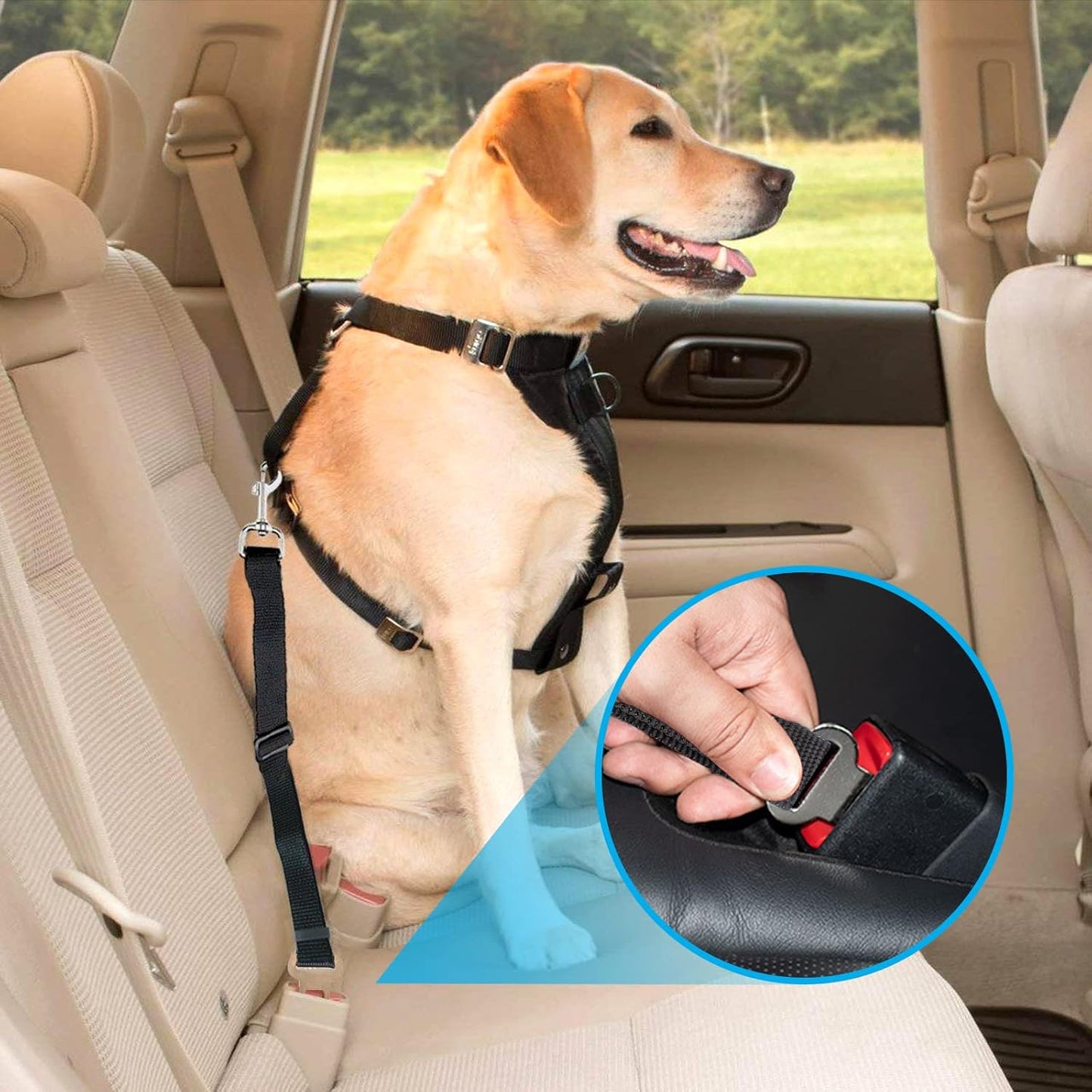 Redamancy Universal Dog Seat Belt, 1 Piece, Tear-proof, Adjustable (Black)